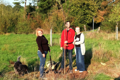 250928_baumpflchal_001