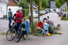 baumscheibe_260512_004