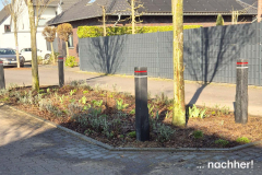 gruene_im_garten_003