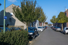 hunsberg_003