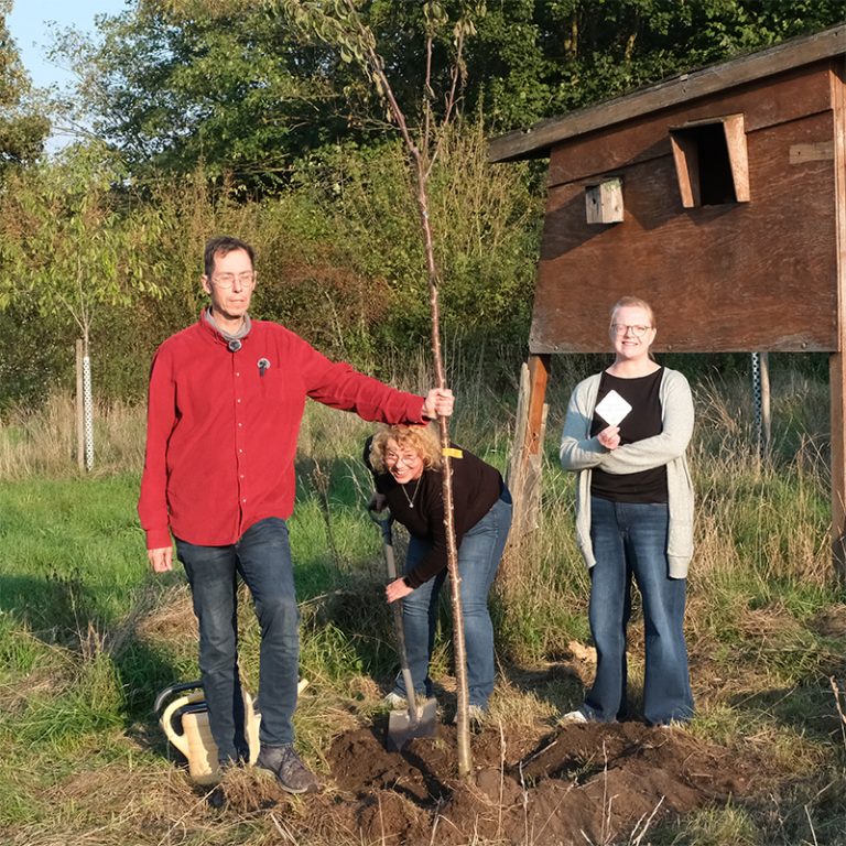 Baumpflanz-Challenge 2025