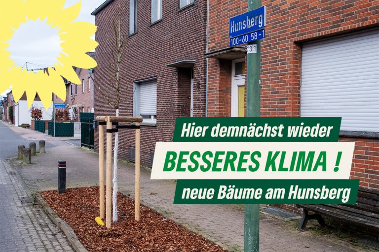 Neue Bäume am Hunsberg